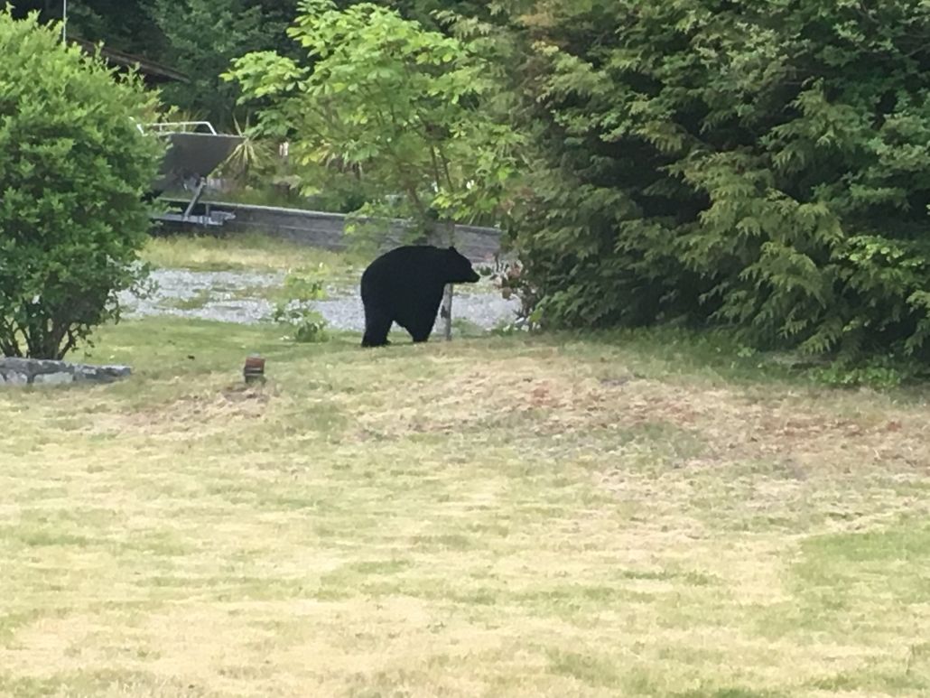 Eagle Nook Resort Ucluelet Εξωτερικό φωτογραφία